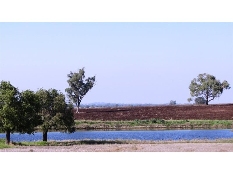 Via Blairmore Road, Boggabri NSW 2382