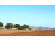 Via Blairmore Road, Boggabri NSW 2382