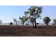 Via Blairmore Road, Boggabri NSW 2382