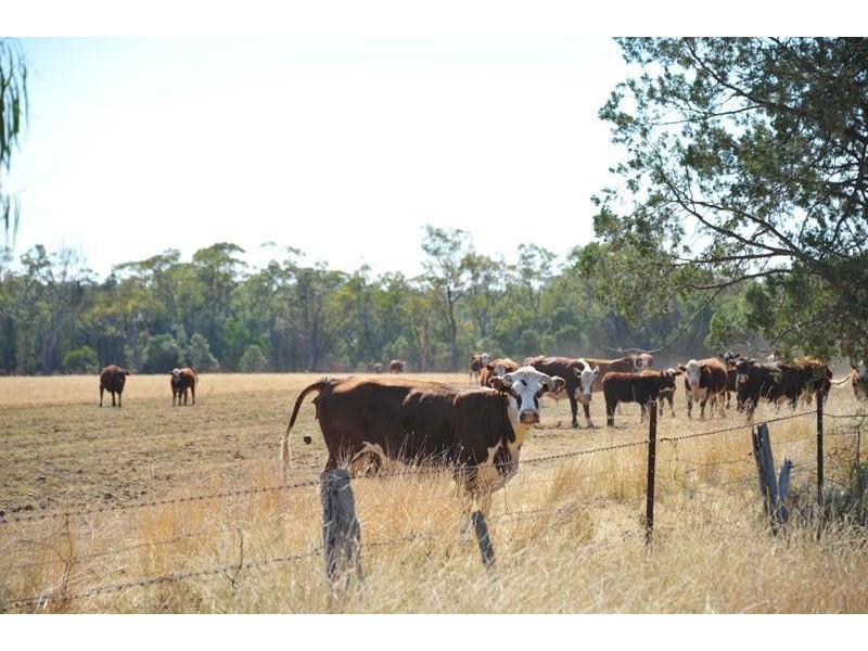 269 Wilga View Lane, Boggabri NSW 2382