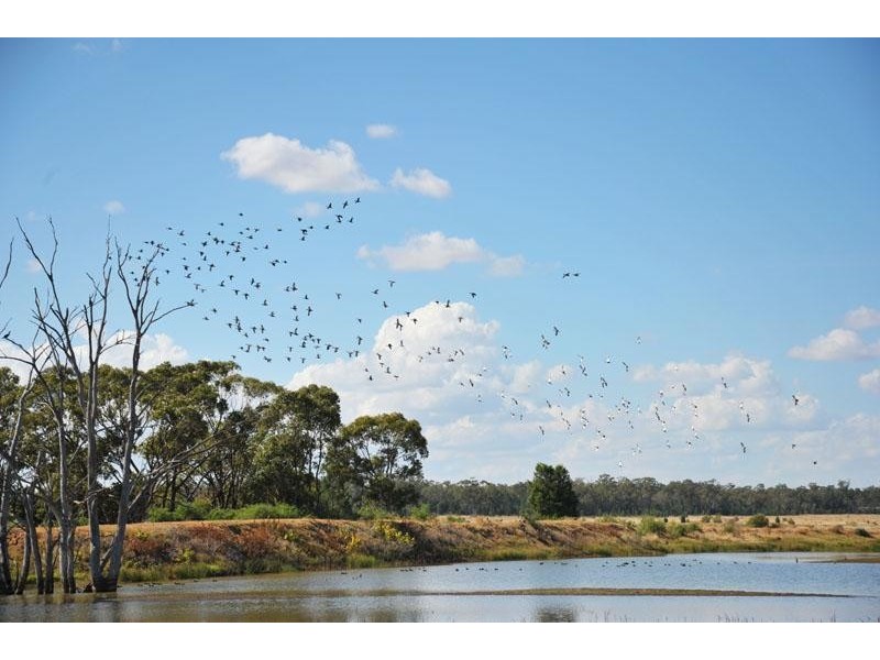 269 Wilga View Lane, Boggabri NSW 2382