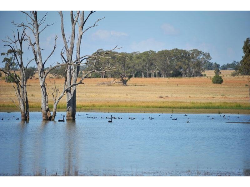 269 Wilga View Lane, Boggabri NSW 2382