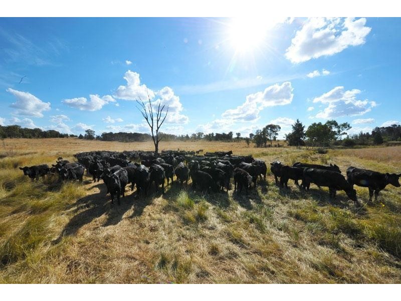 269 Wilga View Lane, Boggabri NSW 2382