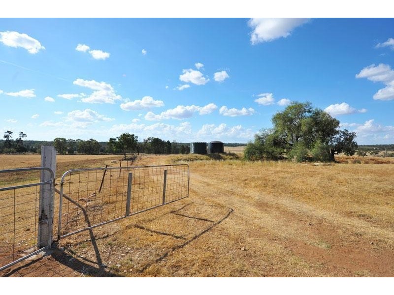 269 Wilga View Lane, Boggabri NSW 2382