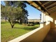 2386 Gunnedah Road, Kelvin NSW 2380