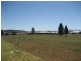 Tallowwood Drive, Gunnedah NSW 2380