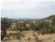 1437 Wandobah Road, Gunnedah NSW 2380