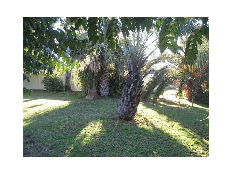 11 Ewing Street, Gunnedah NSW 2380