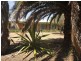 17 Galway Avenue, Gunnedah NSW 2380