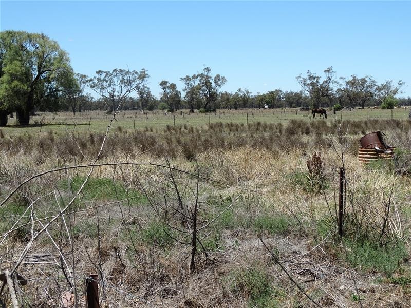 88 Phillip Street Carroll, Carroll NSW 2340