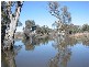 Bronte Carroll Road, Gunnedah NSW 2380