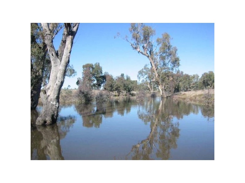 Bronte Carroll Road, Gunnedah NSW 2380