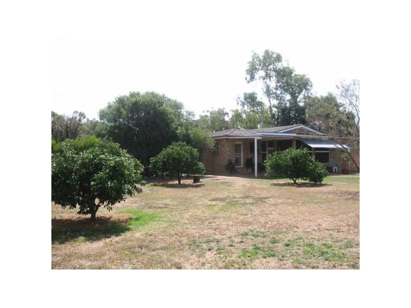 Pine Street, Curlewis NSW 2381