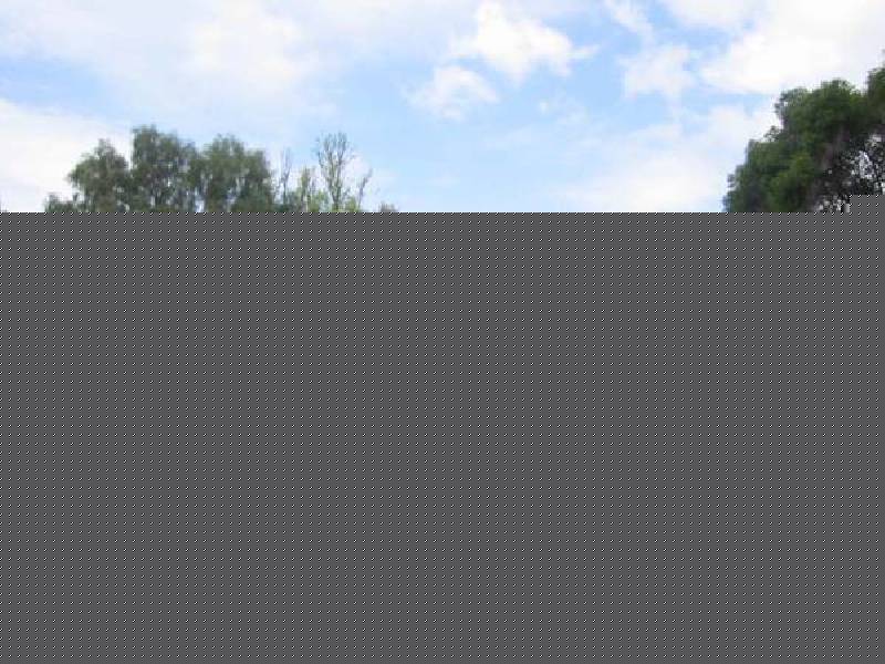 19 Thompson Place, Gunnedah NSW 2380