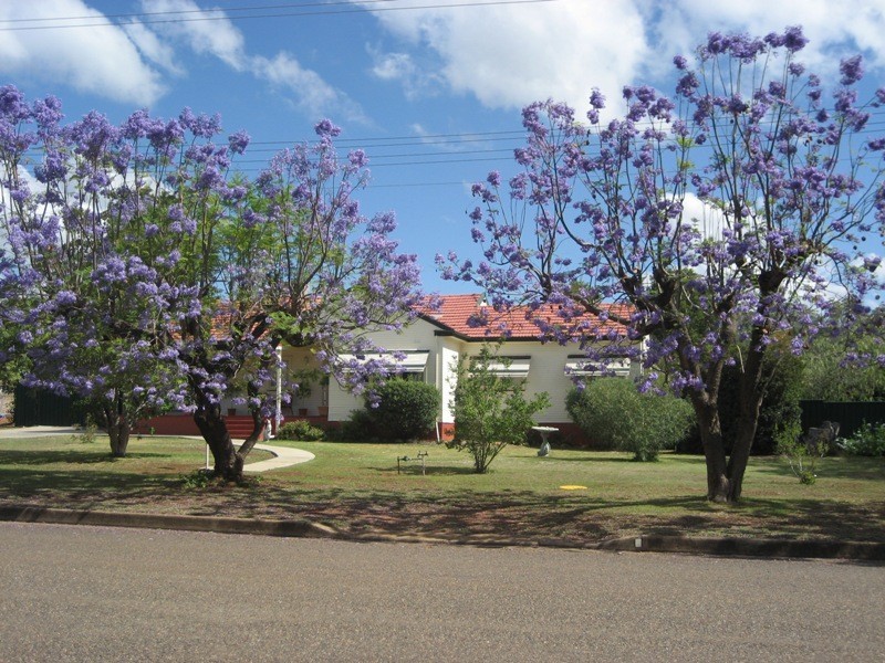 169-171 Stock Road, Gunnedah NSW 2380