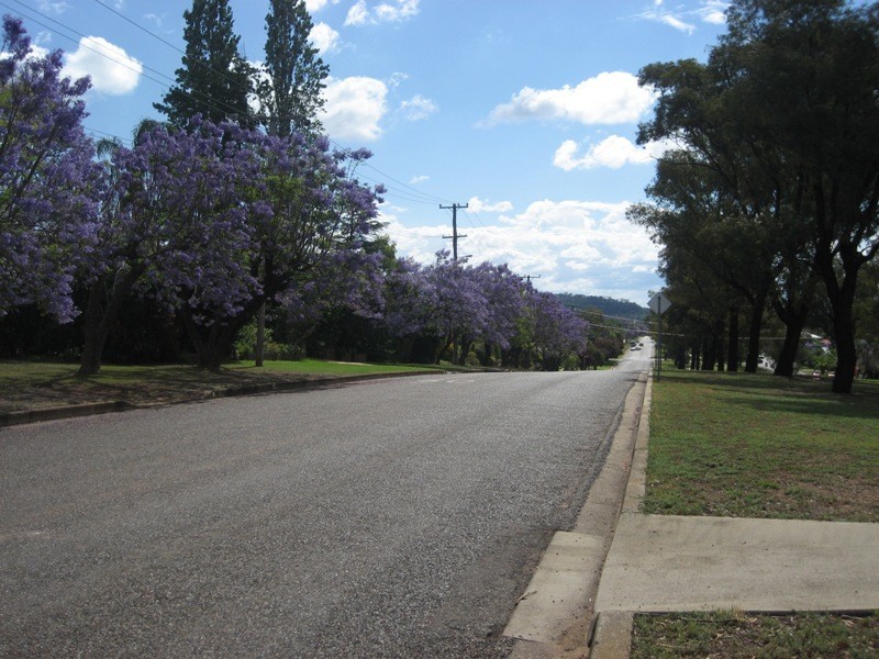 169-171 Stock Road, Gunnedah NSW 2380