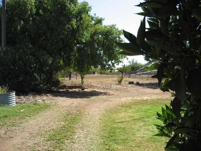 126 Bloomfield Street, Gunnedah NSW 2380