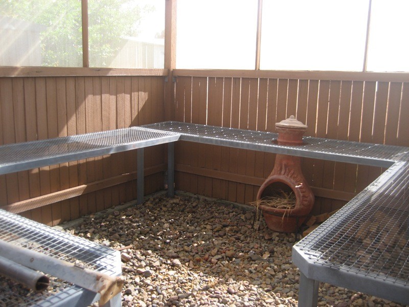 16 Ashford Street, Gunnedah NSW 2380