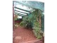 194 Little Bloomfield Street, Gunnedah NSW 2380