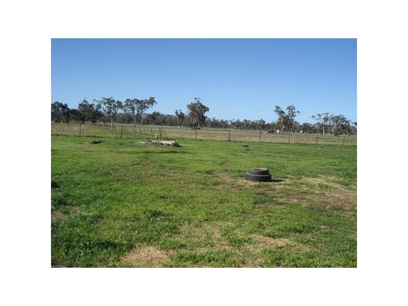 78 Phillip Street, Carroll NSW 2340