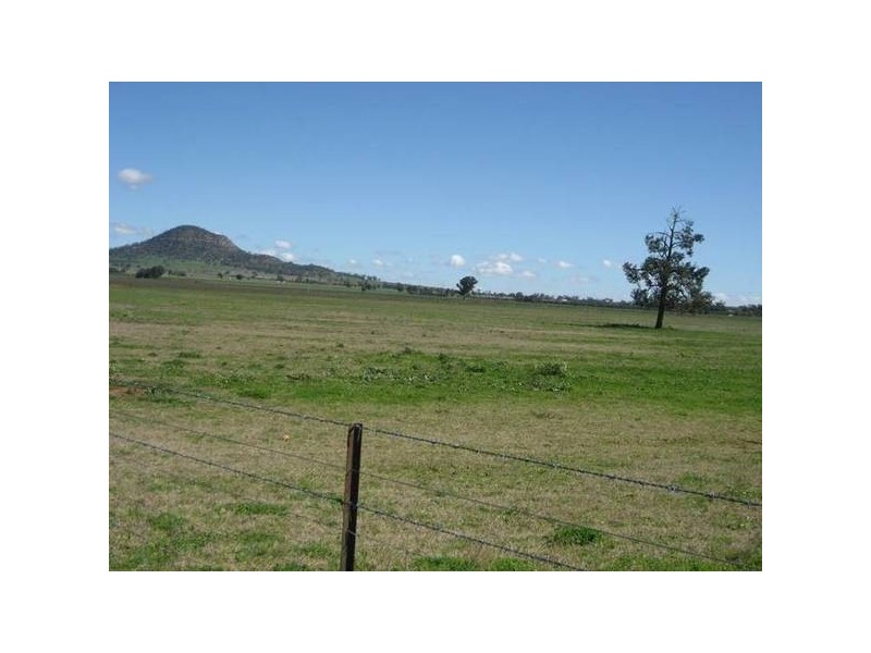 * Mcdonald Road, Gunnedah NSW 2380