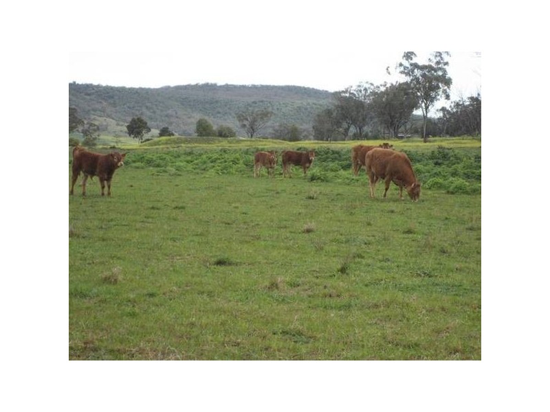 1 Blackmore Park, Wandobah Road, Gunnedah NSW 2380