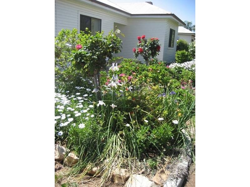 120 Edward Street, Gunnedah NSW 2380