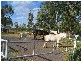 83 Reading Road, Gunnedah NSW 2380