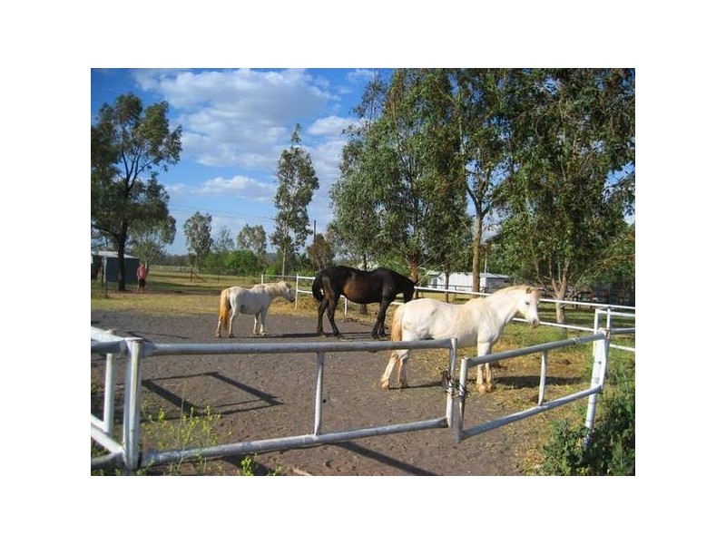 83 Reading Road, Gunnedah NSW 2380