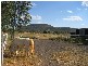83 Reading Road, Gunnedah NSW 2380