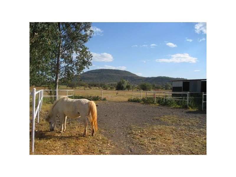 83 Reading Road, Gunnedah NSW 2380