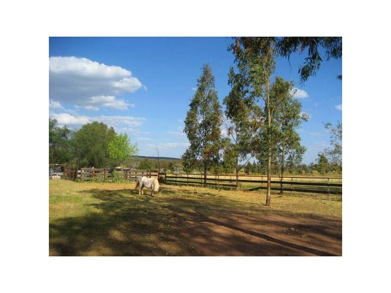 83 Reading Road, Gunnedah NSW 2380