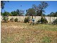 19 Pine Street, Curlewis NSW 2381