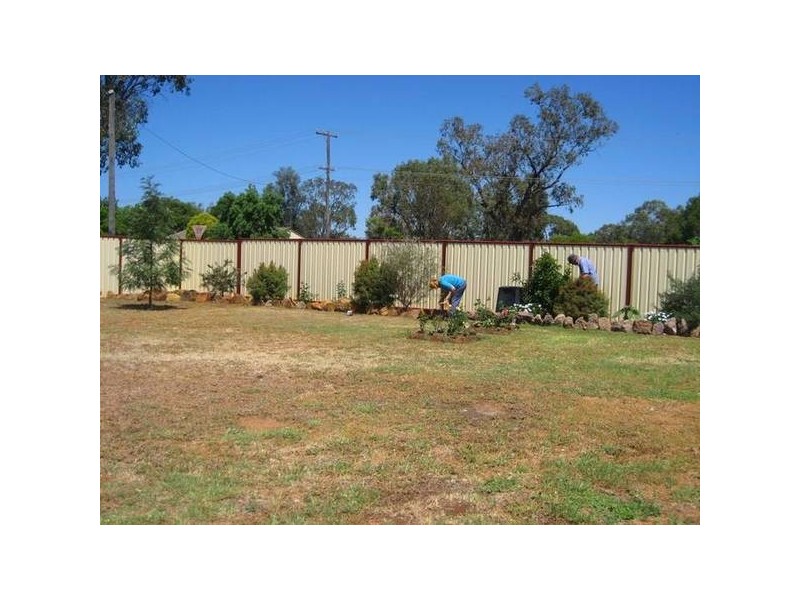 19 Pine Street, Curlewis NSW 2381