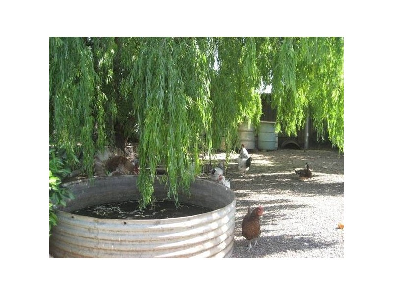 34 Kamilaroi Road, Gunnedah NSW 2380