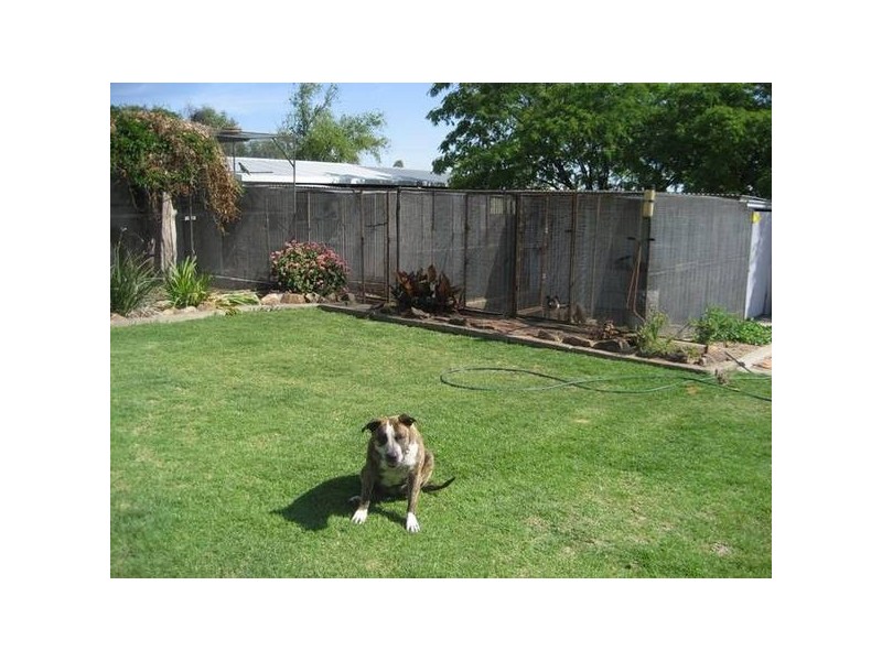 34 Kamilaroi Road, Gunnedah NSW 2380