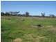 78 Phillip Street, Carroll NSW 2340