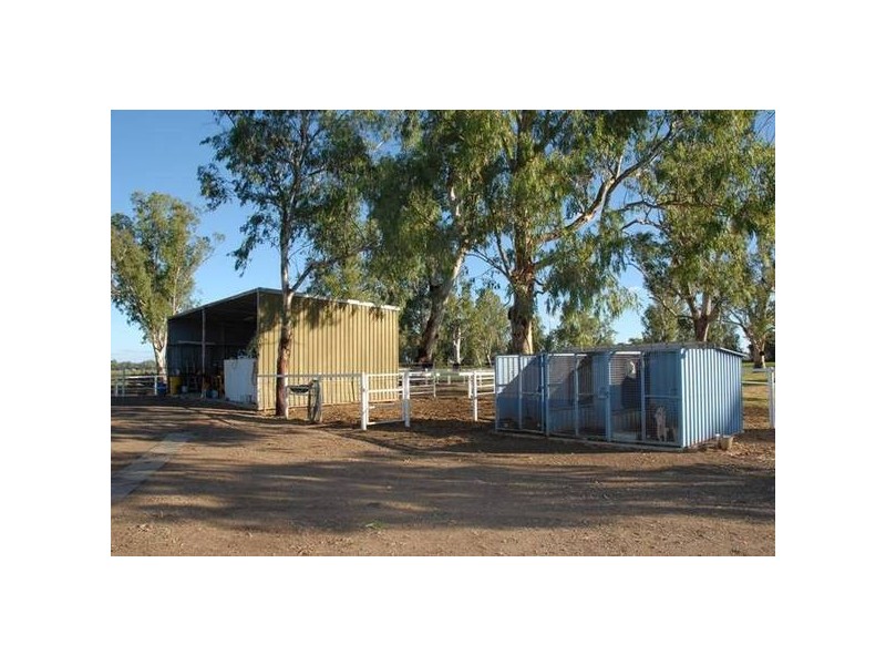 306 Orange Grove Road, Gunnedah NSW 2380