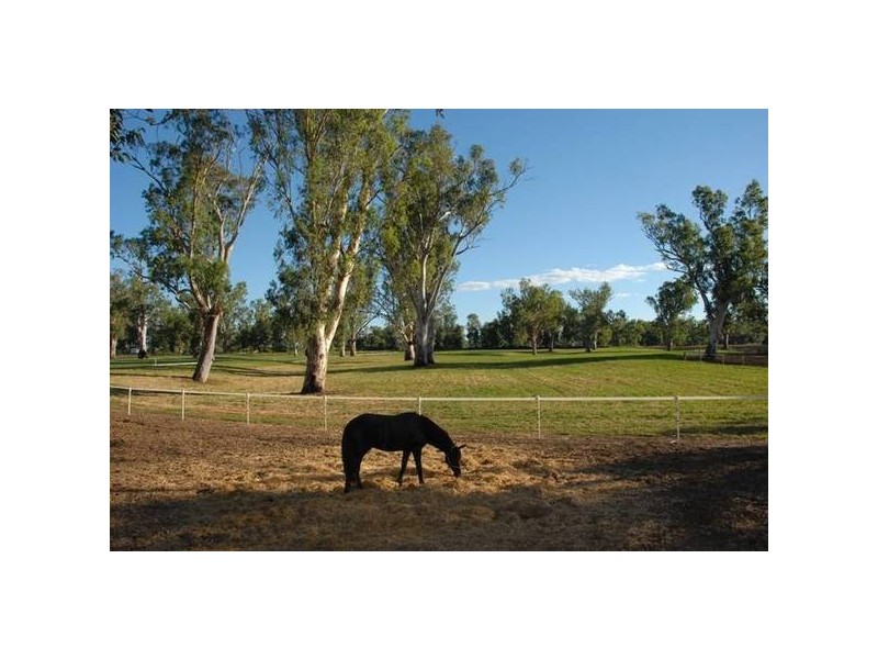 306 Orange Grove Road, Gunnedah NSW 2380