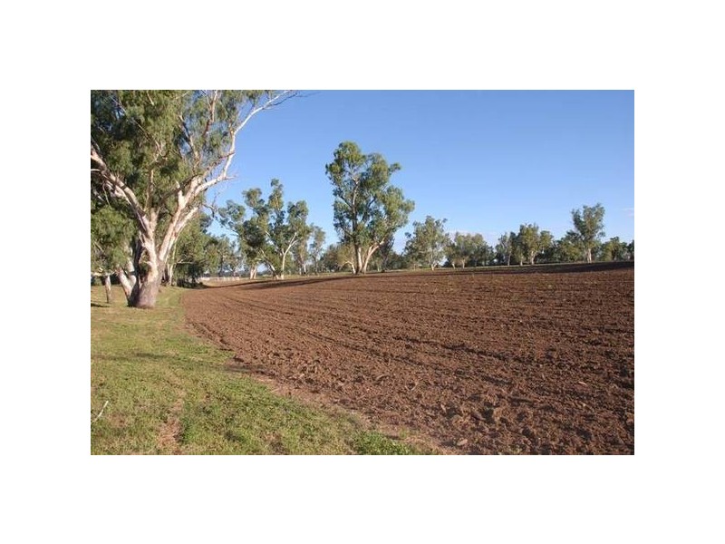 306 Orange Grove Road, Gunnedah NSW 2380