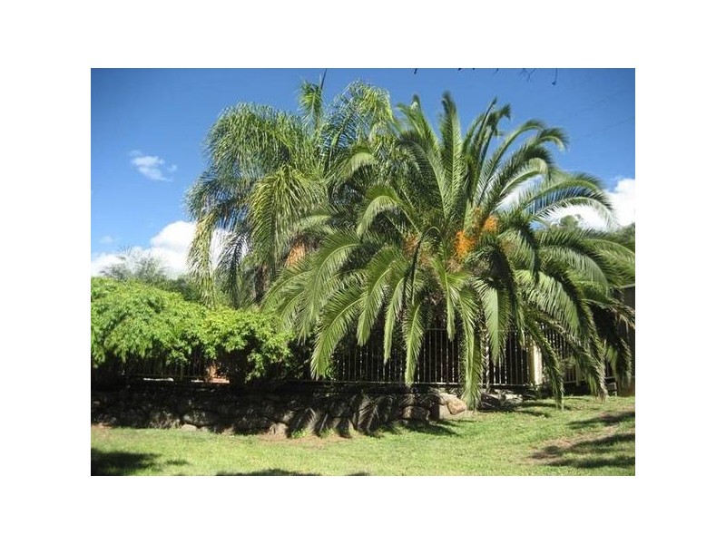 12 Kirkpatrick Close, Gunnedah NSW 2380