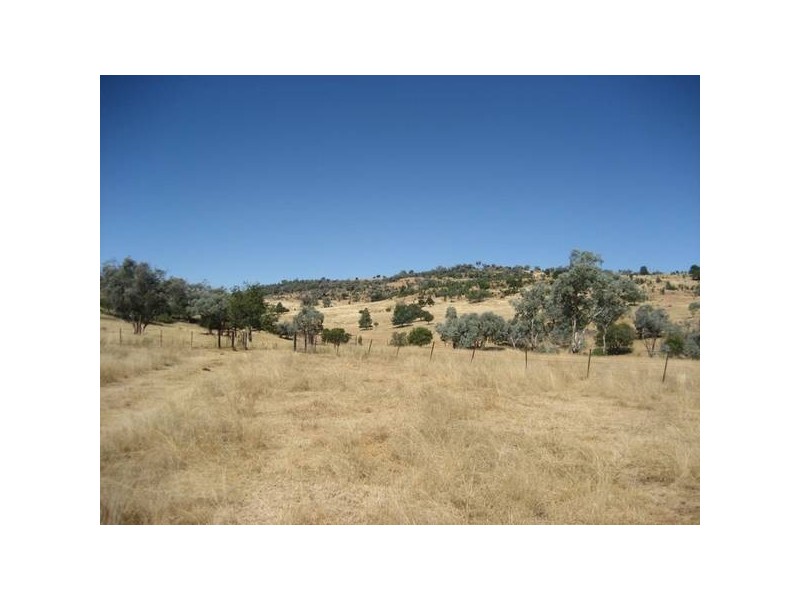 ” Springmount & Limerock”, Carroll NSW 2340