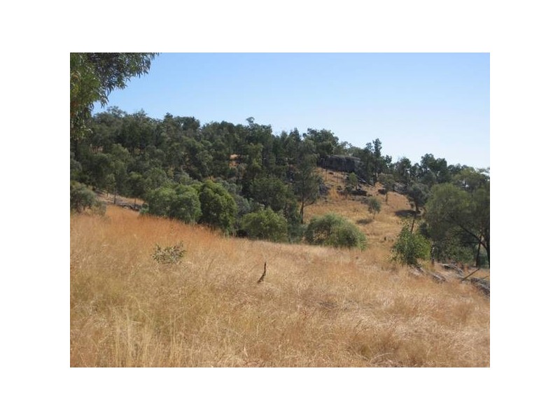 ” Springmount & Limerock”, Carroll NSW 2340