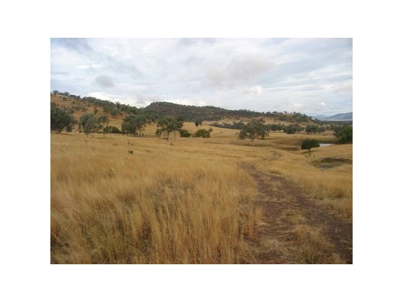 ” Springmount & Limerock”, Carroll NSW 2340