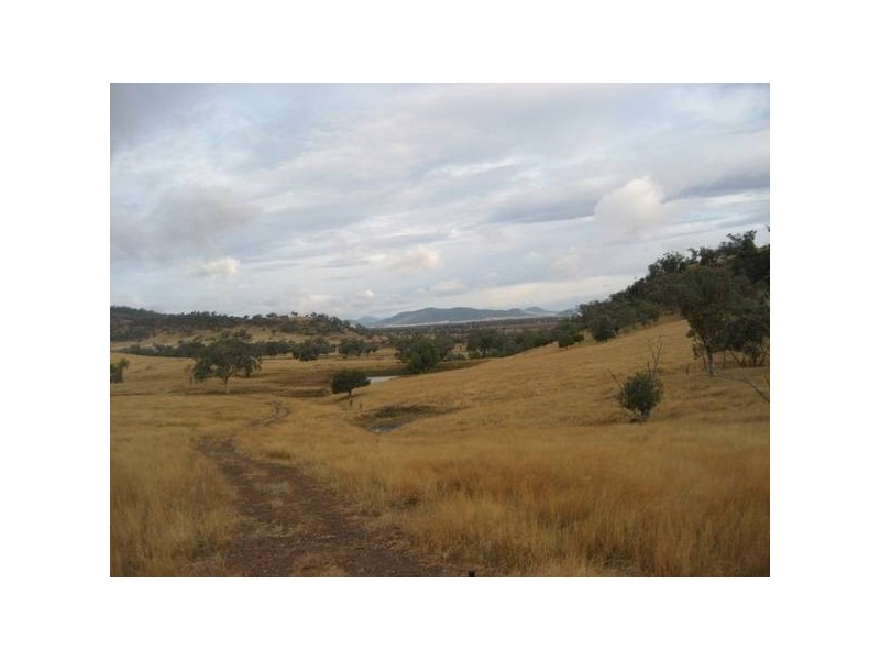 ” Springmount & Limerock”, Carroll NSW 2340