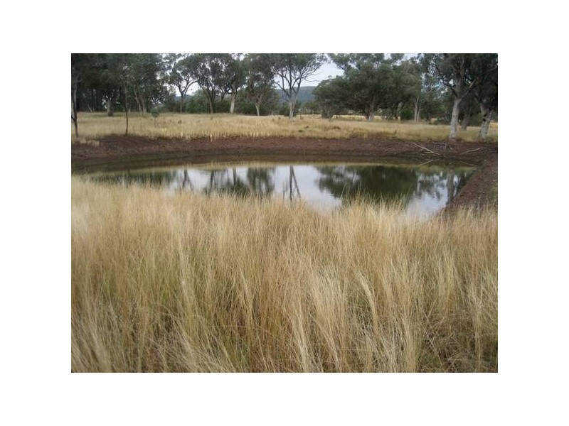 ” Springmount & Limerock”, Carroll NSW 2340