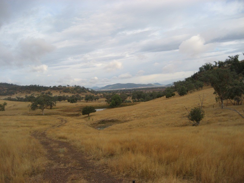 Limerock, Carroll NSW 2340