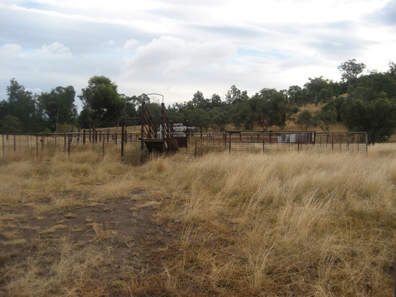 Limerock, Carroll NSW 2340