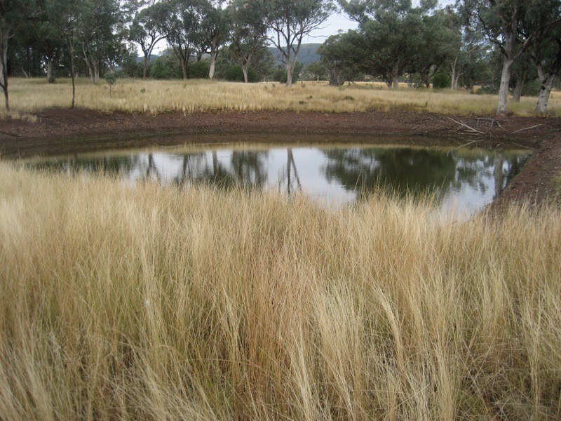 Limerock, Carroll NSW 2340