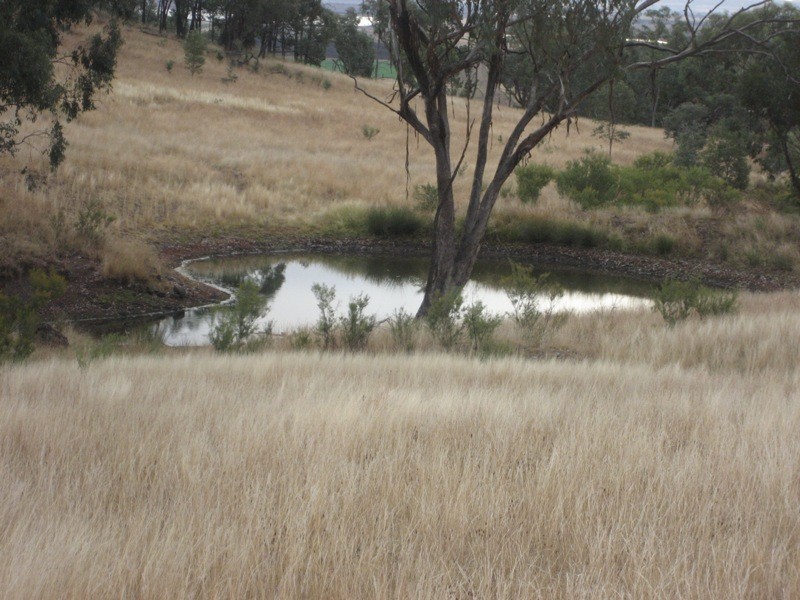 Limerock, Carroll NSW 2340